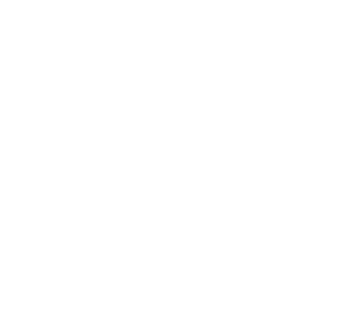 Catalyst Network International